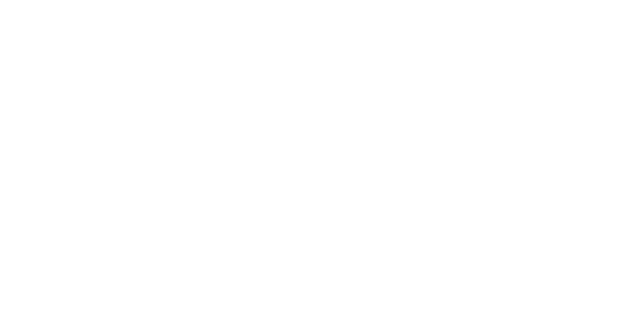 Made in Germany